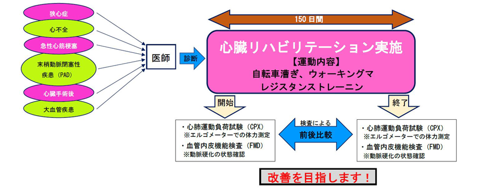 時間指定不可】 狭心症・心筋梗塞のリハビリテーション : 心不全・血管 